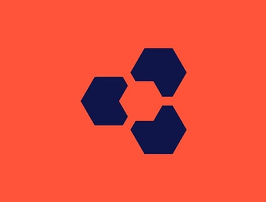 Branding portfolio piece