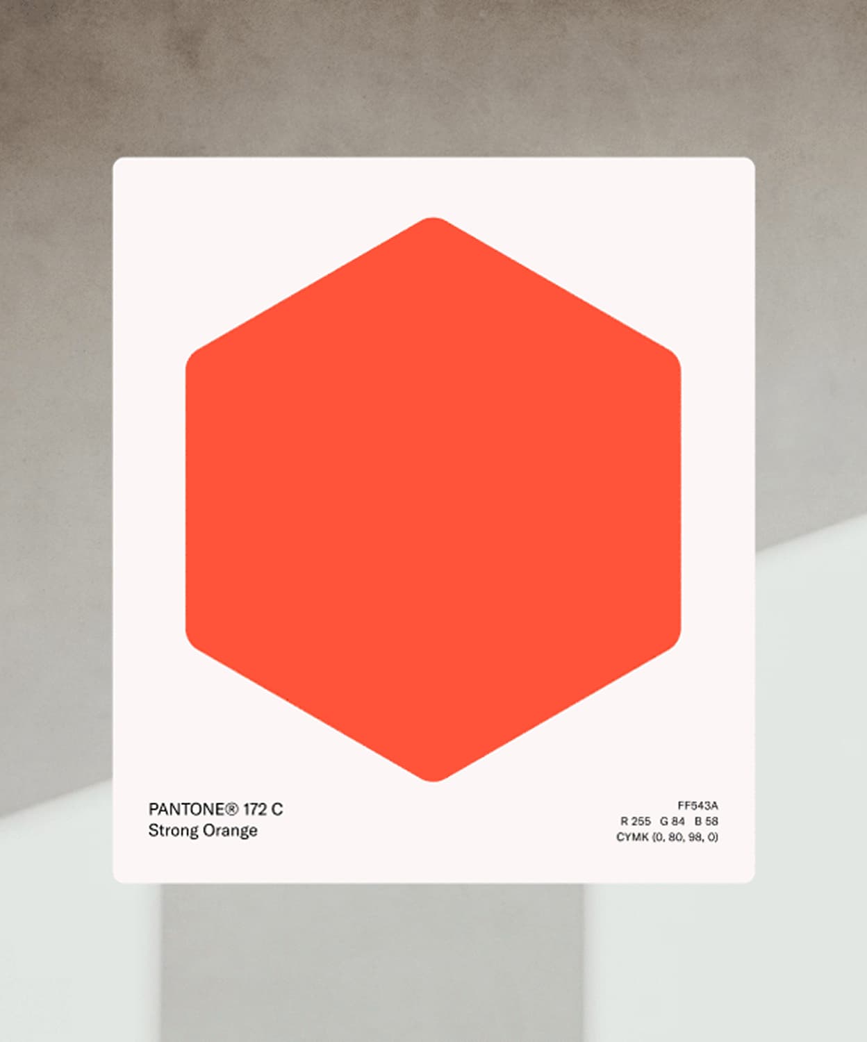 STP One illustration design